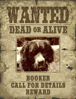 Booker wanted